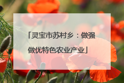 灵宝市苏村乡：做强做优特色农业产业