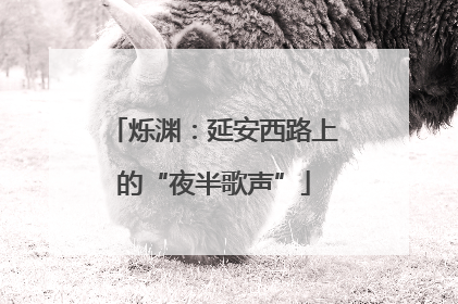 烁渊：延安西路上的“夜半歌声”