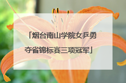 烟台南山学院女乒勇夺省锦标赛三项冠军