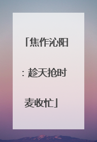 焦作沁阳：趁天抢时麦收忙