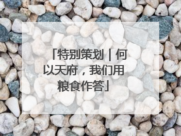 特别策划｜何以天府，我们用粮食作答