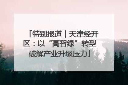 特别报道｜天津经开区：以“高智绿”转型破解产业升级压力