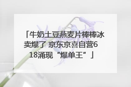 牛奶土豆燕麦片棒棒冰卖爆了 京东京喜自营618涌现“爆单王”
