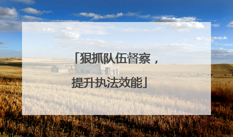 狠抓队伍督察，提升执法效能