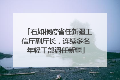 石如根跨省任新疆工信厅副厅长，连续多名年轻干部调任新疆