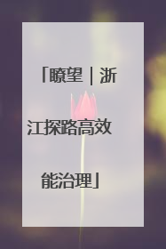 瞭望｜浙江探路高效能治理