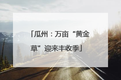 瓜州：万亩“黄金草”迎来丰收季