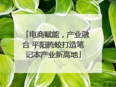 电商赋能，产业融合 平阳腾蛟打造笔记本产业新高地