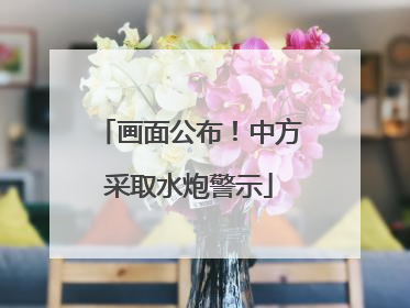 画面公布！中方采取水炮警示