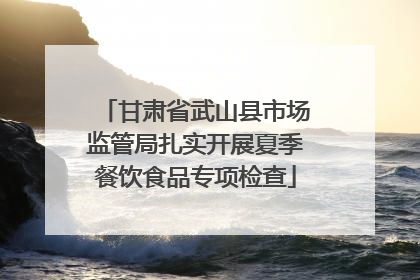 甘肃省武山县市场监管局扎实开展夏季餐饮食品专项检查