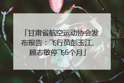 甘肃省航空运动协会发布报告：飞行员彭玉江、顾志敏停飞6个月