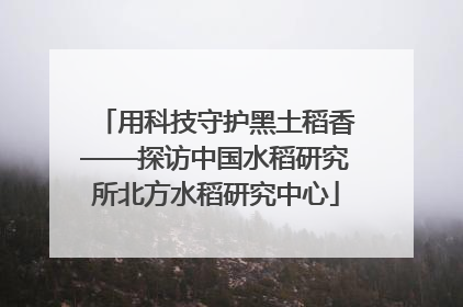 用科技守护黑土稻香——探访中国水稻研究所北方水稻研究中心