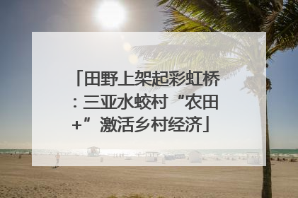 田野上架起彩虹桥：三亚水蛟村“农田+”激活乡村经济