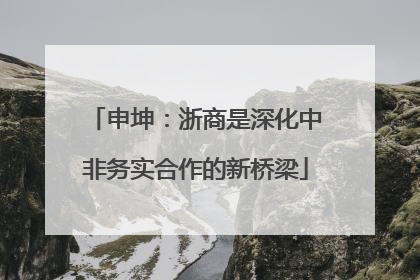 申坤：浙商是深化中非务实合作的新桥梁