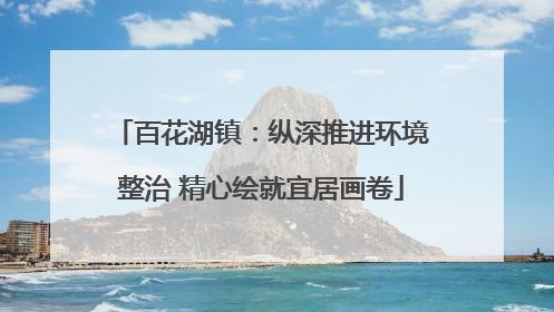 百花湖镇：纵深推进环境整治 精心绘就宜居画卷