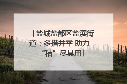 盐城盐都区盐渎街道：多措并举 助力“秸”尽其用