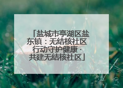 盐城市亭湖区盐东镇：无结核社区行动守护健康 ·共建无结核社区