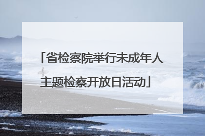 省检察院举行未成年人主题检察开放日活动