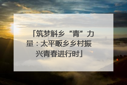 筑梦斛乡“青”力量：太平畈乡乡村振兴青春进行时