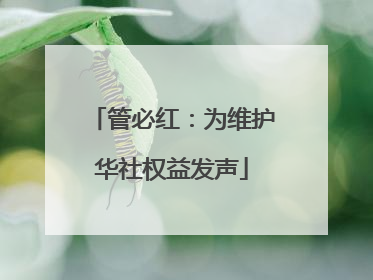 管必红：为维护华社权益发声