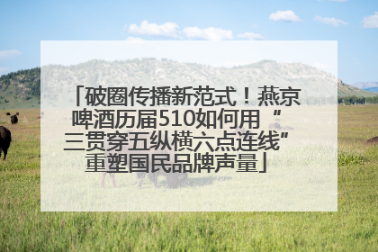 破圈传播新范式！燕京啤酒历届510如何用“三贯穿五纵横六点连线”重塑国民品牌声量