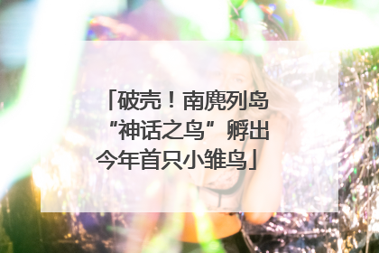 破壳！南麂列岛“神话之鸟”孵出今年首只小雏鸟