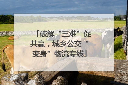 破解“三难”促共赢，城乡公交“变身”物流专线