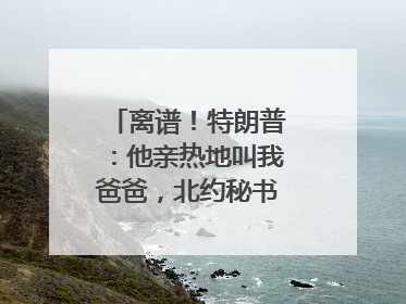 离谱！特朗普：他亲热地叫我爸爸，北约秘书长：我没有