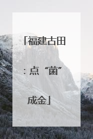 福建古田：点“菌”成金