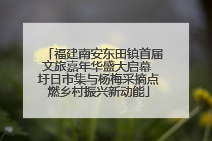 福建南安东田镇首届文旅嘉年华盛大启幕 圩日市集与杨梅采摘点燃乡村振兴新动能