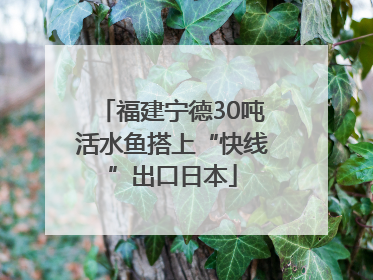 福建宁德30吨活水鱼搭上“快线”出口日本