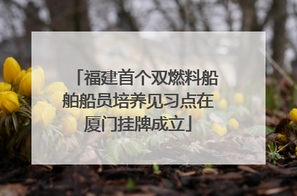 福建首个双燃料船舶船员培养见习点在厦门挂牌成立