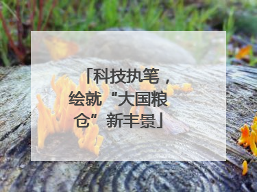 科技执笔，绘就“大国粮仓”新丰景