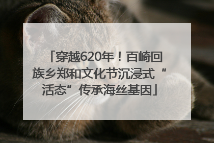 穿越620年！百崎回族乡郑和文化节沉浸式“活态”传承海丝基因