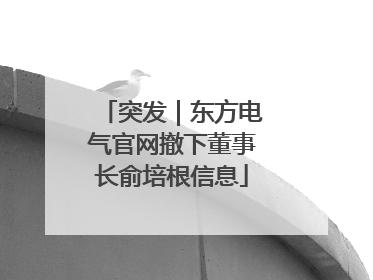 突发｜东方电气官网撤下董事长俞培根信息