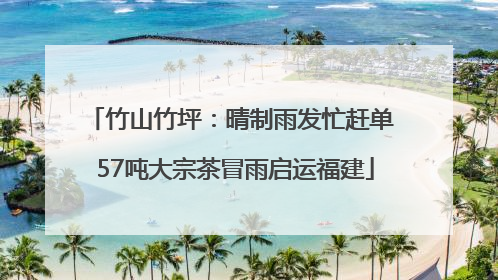 竹山竹坪：晴制雨发忙赶单 57吨大宗茶冒雨启运福建