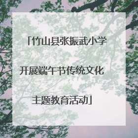 竹山县张振武小学开展端午节传统文化主题教育活动