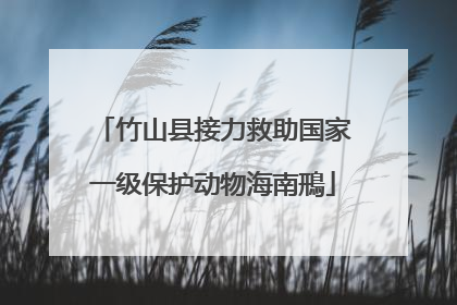 竹山县接力救助国家一级保护动物海南鳽