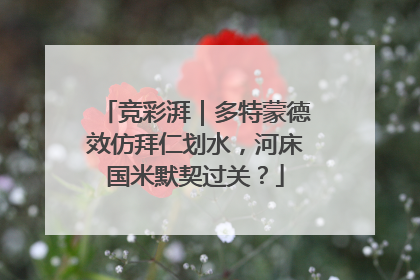 竞彩湃｜多特蒙德效仿拜仁划水，河床国米默契过关？