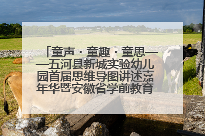 童声・童趣・童思——五河县新城实验幼儿园首届思维导图讲述嘉年华暨安徽省学前教育教研基地园项目阶段性成果展示活动