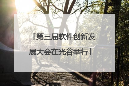 第三届软件创新发展大会在光谷举行