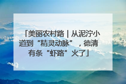 美丽农村路｜从泥泞小道到“精灵动脉”，德清有条“虾路”火了