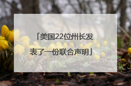 美国22位州长发表了一份联合声明