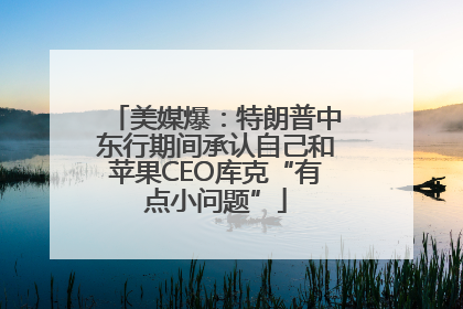 美媒爆：特朗普中东行期间承认自己和苹果CEO库克“有点小问题”