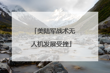美陆军战术无人机发展受挫
