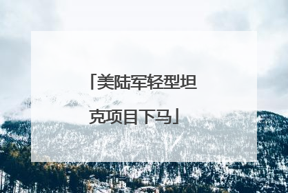 美陆军轻型坦克项目下马