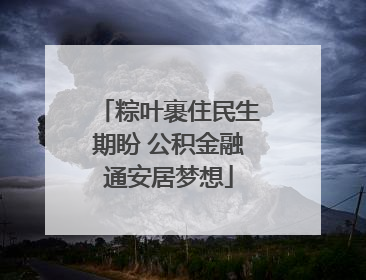 粽叶裹住民生期盼 公积金融通安居梦想