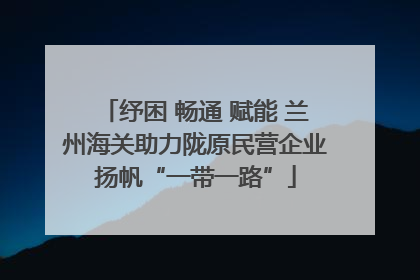 纾困 畅通 赋能 兰州海关助力陇原民营企业扬帆“一带一路”