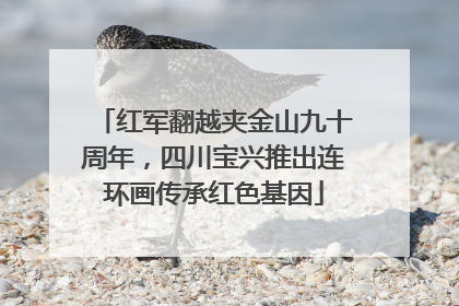红军翻越夹金山九十周年，四川宝兴推出连环画传承红色基因