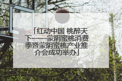 红动中国 桃醉天下——蒙阴蜜桃消费季暨蒙阴蜜桃产业推介会成功举办